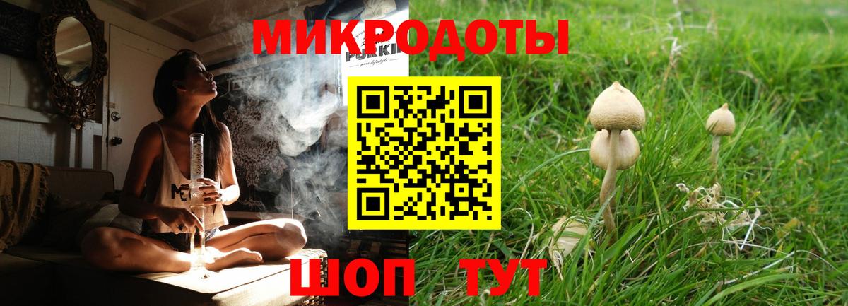 Галлюциногенные грибы Magic Shrooms Краснодар